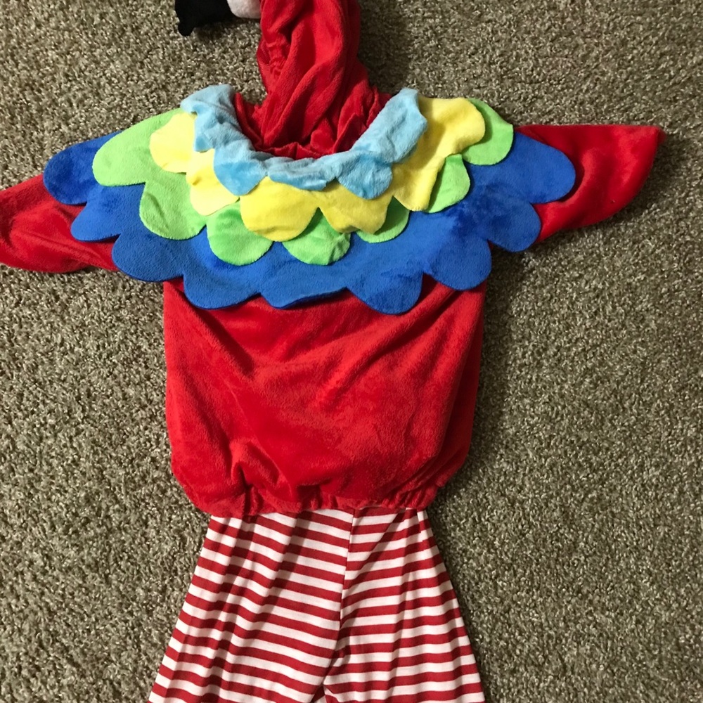 Baby parrot costume !
